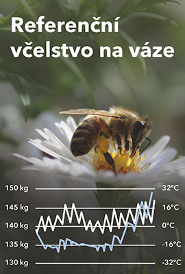Referenční včelstvo na váze