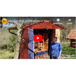Chlazená skříň na 600 plástů, 11.4. 2020