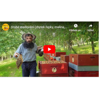 Druhé medování (zbytek řepky, malina, akát) 17.6.  2020