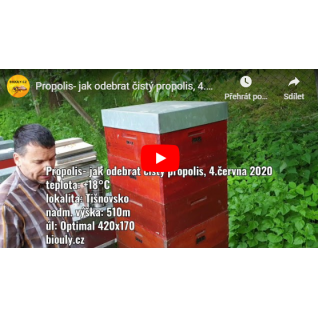Propolis- jak odebrat čistý propolis, 4.6. 2020