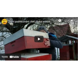 Jarní podněcování, třetí dávka odebrání po 7dnech, 20.3. 2021